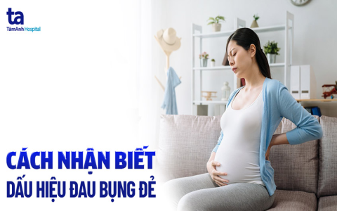 Nằm mơ địt nhau đánh đề con gì dễ trúng? Tham khảo ngay những con số này.