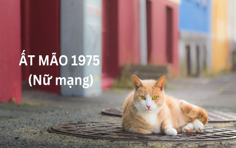 Tử vi tuổi Ất Sửu năm 2022 nữ mạng: Xem vận hạn chi tiết nhất