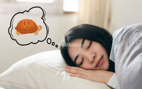 Nằm mơ thấy mổ lợn là điềm tốt hay xấu? Xem ngay luận giải giấc mơ đầy đủ.