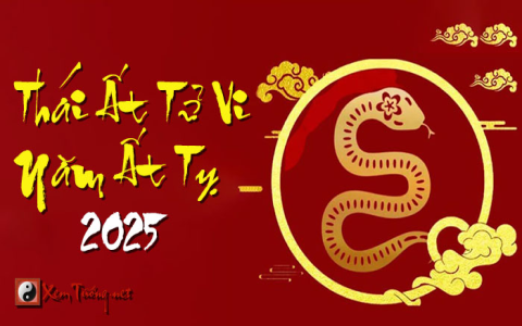 Tổng quan tử vi kỷ tỵ 2022 nam mạng đầy đủ, xem để biết vận mệnh cả năm.