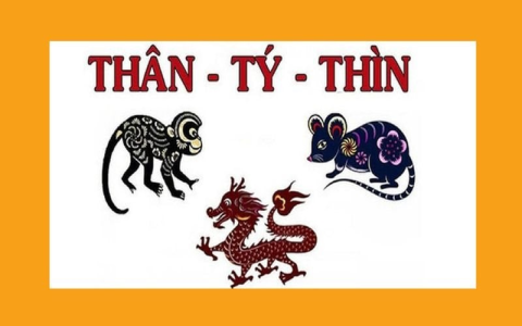 tử vi tuổi tân hợi năm 2022 sức khỏe ra sao? Cách hóa giải vận xui bệnh tật.