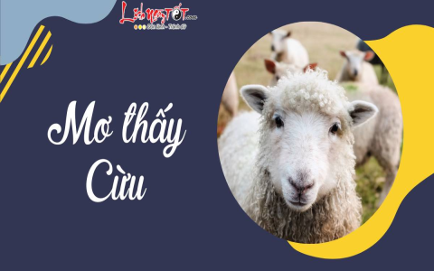 Nằm mơ thấy rắn cắn vào chân đánh số mấy dễ trúng? Con số may mắn không nên bỏ lỡ.