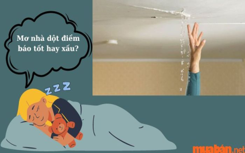 Nằm mơ thấy vú là tốt hay xấu? Đọc ngay để biết điềm báo này là gì cho bạn.