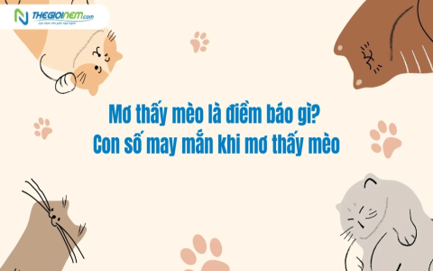 Nằm mơ thấy mèo chết tốt hay xấu? (Chuyên gia giải mộng chi tiết về giấc mơ này)