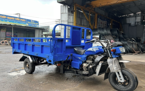 Nằm mơ thấy cá trê đánh số mấy dễ trúng nhất? Xem ngay gợi ý số đề này.