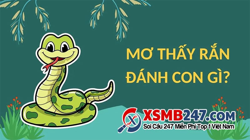 Nằm mơ giết rắn đánh con số mấy? Con số may mắn nào liên quan đến giấc mơ.