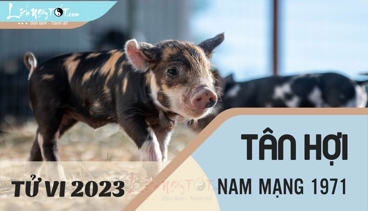 Tìm hiểu tử vi tuổi tân hợi năm 2023 nam mạng, công danh sự nghiệp thế nào?
