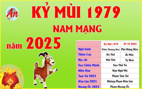 Xem tử vi tuổi Kỷ Mùi 1979 năm 2021 nam mạng: Luận giải chi tiết vận hạn tốt xấu.