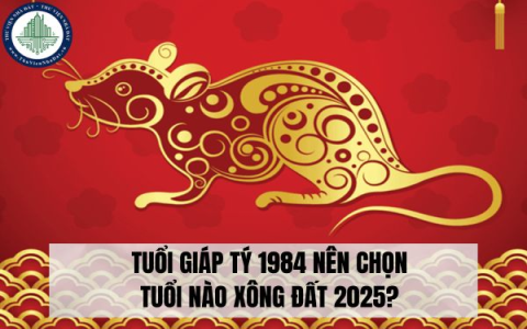 Xem tử vi tuổi Giáp Tý năm 2020 chi tiết: Vận hạn năm Canh Tý tốt xấu cụ thể ra sao?