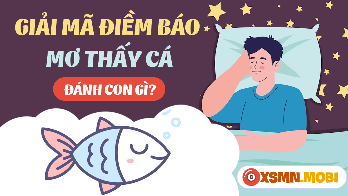 Nằm mơ thấy cá trê đánh số mấy dễ trúng nhất? Xem ngay gợi ý số đề này.
