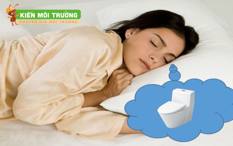 Nằm mơ thấy nhặt được tiền lẻ là điềm gì? Xem ngay để biết vận may.
