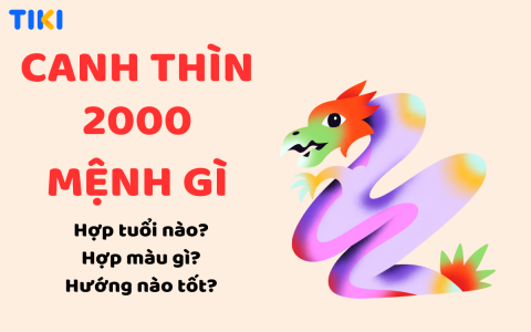 Tìm hiểu tử vi tuổi tân hợi năm 2023 nam mạng, công danh sự nghiệp thế nào?
