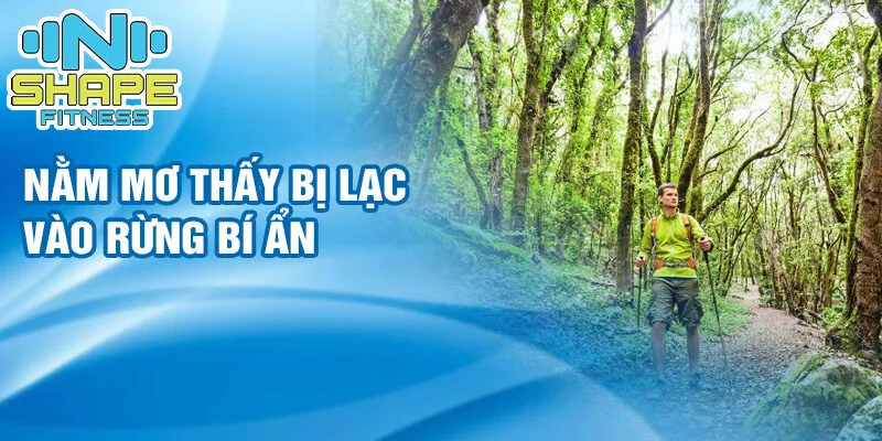 Giải mã giấc mơ nằm mơ thấy đi lạc đường: Bí ẩn gì đang chờ bạn khám phá?