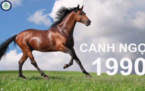 Tra tử vi tuổi canh ngọ năm 2024 nam mạng: Tháng nào tốt nhất để làm ăn?