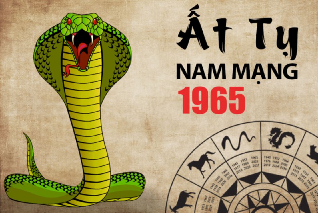 Bình giải tử vi tuổi Ất Tỵ 1965 nam mạng năm 2021 (Giải thích đơn giản dễ hiểu cho bạn).