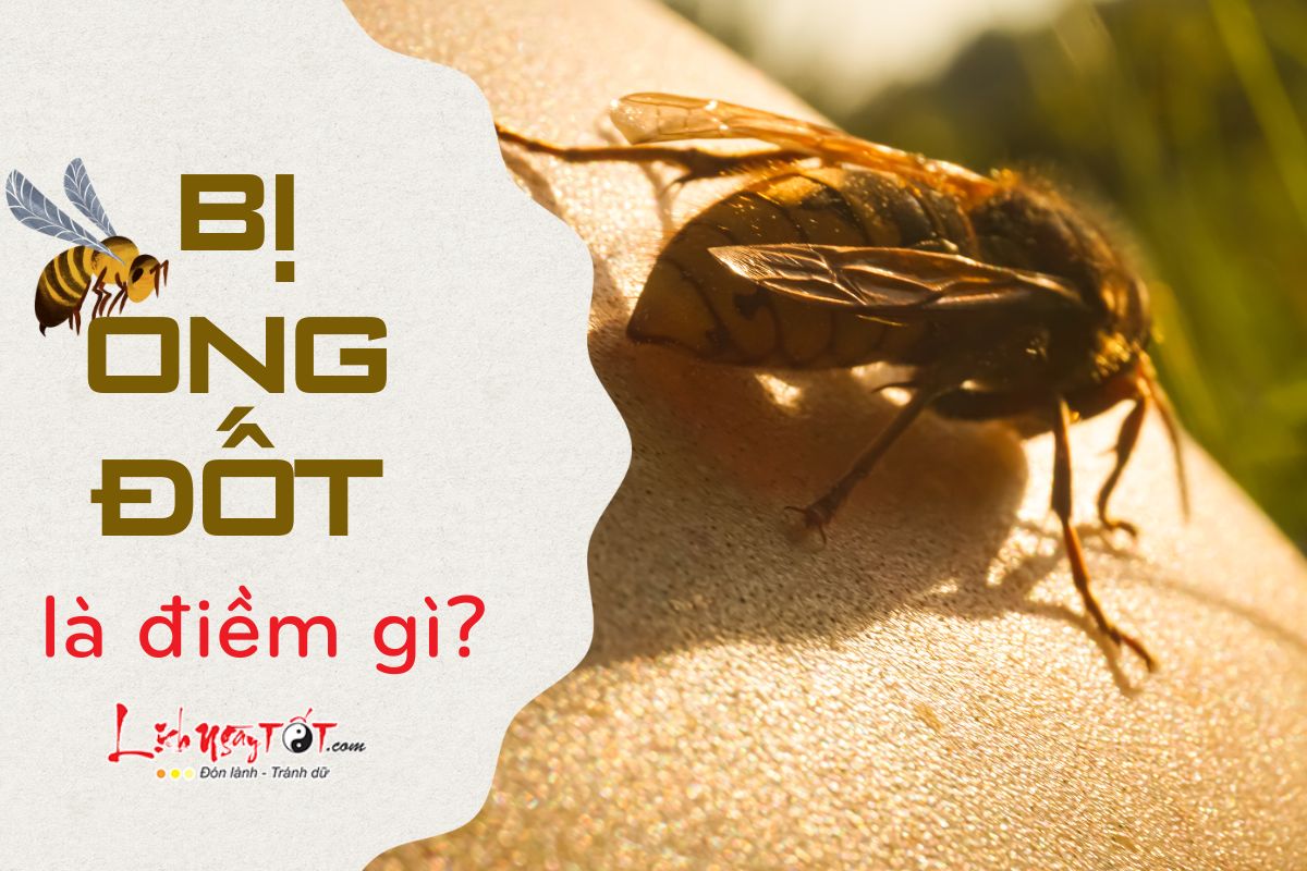 Giải mã giấc mơ nằm mơ bị ong đốt (Điềm báo sắp tới là gì cho bạn?)