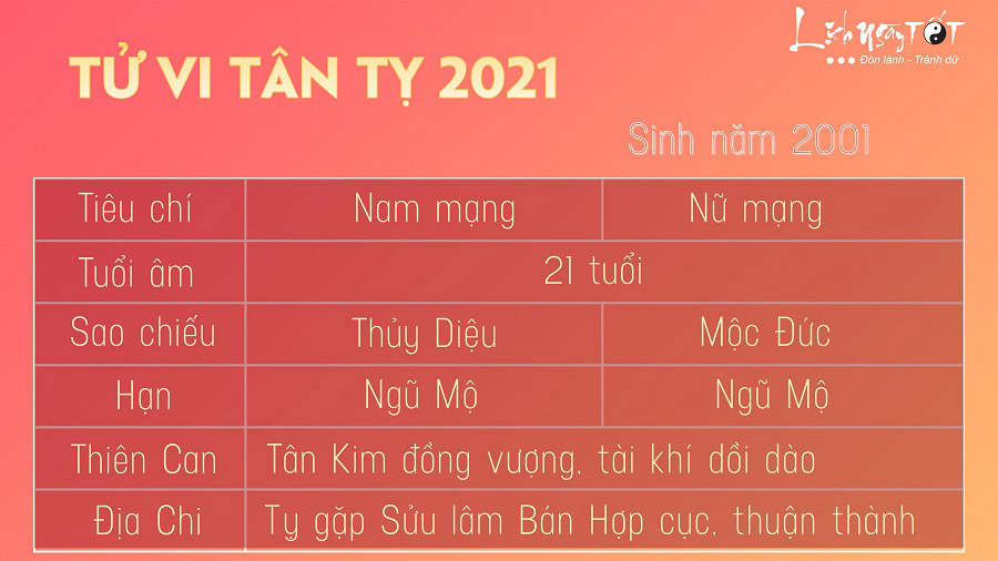 Xem tử vi Tân Tỵ năm 2021 nam mạng (Vận hạn và cách hóa giải dễ hiểu)