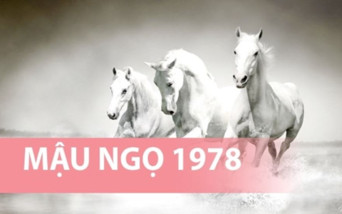 Xem tử vi tuổi Mậu Ngọ năm 2020 (chi tiết vận hạn, sự nghiệp, tình duyên)