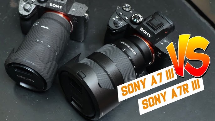 Đắn đo a7 vs a7r: Máy nào chụp ảnh ngon hơn? Xem ngay kẻo lỡ!